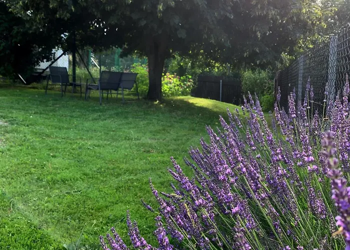 Cracow Family House * קרקוב